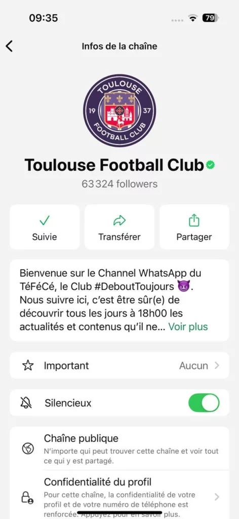 Chaîne WhatsApp Du Toulouse Football Club (TéFéCé)