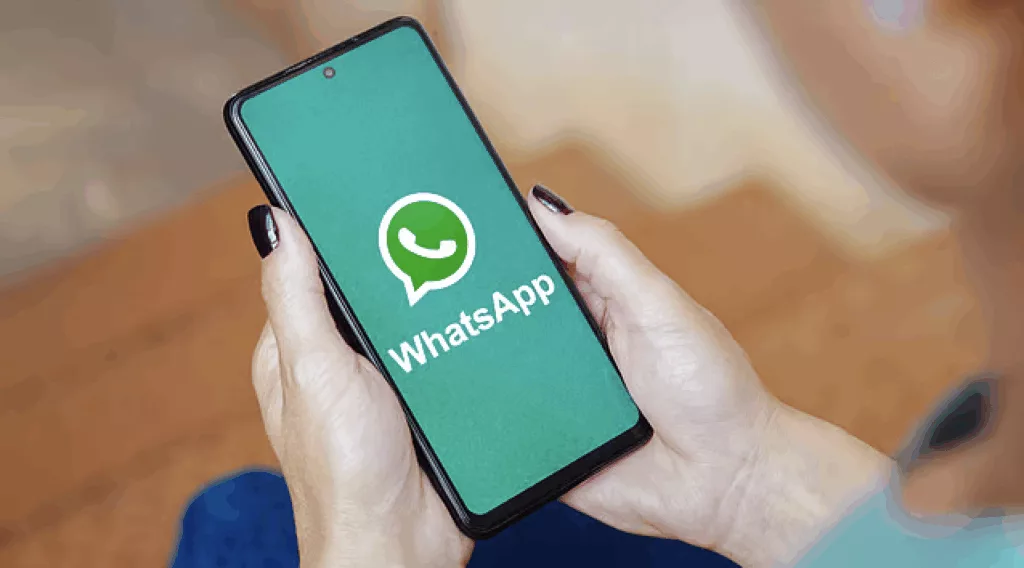 Whatsapp business